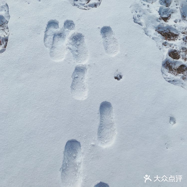 踩雪看冰雕滑个雪才是冬天正确的打开方式