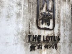 -几荷·恰似故人来(秀水广场店)