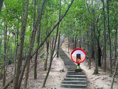 -中山市树木园