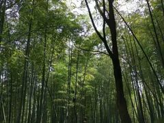 -天下玉苑