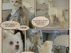 -怪兽屋·羊驼·猫咖·狗咖(俊华广场店)