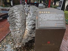 -西安曲江寒窑遗址公园