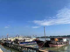 -大湾区中央湿地公园-十九涌