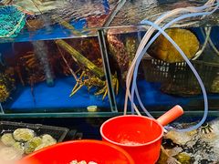 -老字号蛇口德记烧腊饭店·海鲜加工