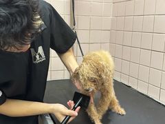 -FAELING PETS美天灵宠物(富力广场店)