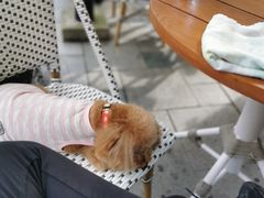 -Peet's Coffee皮爷咖啡(大学路店)