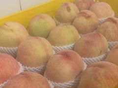 -老袁家蜜桃农场·阳山水蜜桃