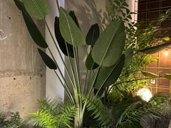 -茗知道茶馆(世博源店)