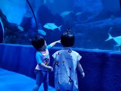 -左海海底世界