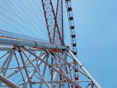 -辛玛王国游乐园