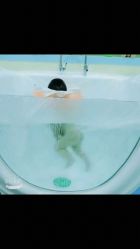 -鱼乐贝贝婴幼儿水育馆(高桥红坊店)