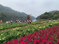 -广州市石门国家森林公园