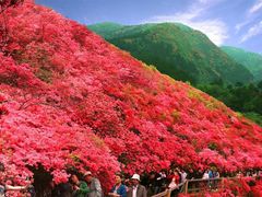 -木兰云雾山