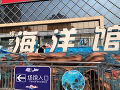 -锦艺城海洋馆