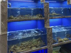 水产区-香蟹园金湖龙虾(金磐路旗舰店)