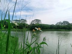 -东莞植物园