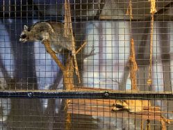 -酷嗒动物文化乐园(cutezoo西溪乐天城店)