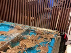 -蟹将军·松叶蟹和牛日料放题自助(K11店)