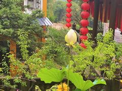 -超山青莲寺