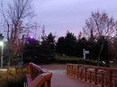 -东郊湿地公园
