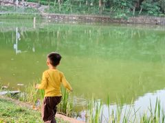 -东莞植物园