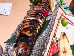 青花鱼烤鱼-隐泉京望日式料理(太和广场店)