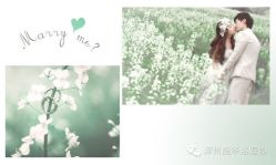 -施华洛婚纱摄影会所(范阳中路店)