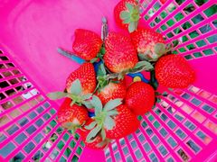 -任达丞国农庄(任达山庄店)