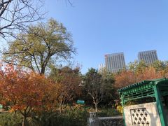 -西海子公园