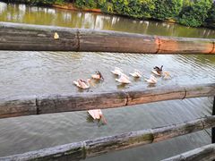 -南沙十九涌渔人码头-南门