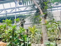 -国家植物园南园