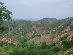 -红山国家森林公园