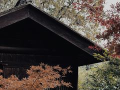 -尚贤河湿地