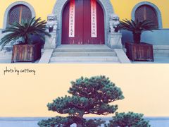 -太平禅寺