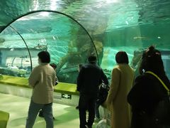 -福州罗源湾海洋世界旅游区