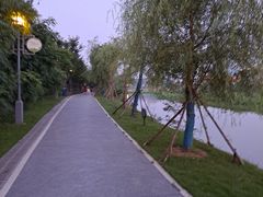 -月湖风景区