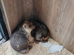 -后院犇牛主题餐厅(云岗店)