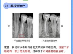 -曙康口腔·家庭全科诊疗中心