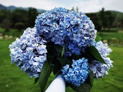 -杭州六谷生态休闲农庄有限公司