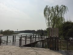-太湖湖滨国家湿地公园-停车场