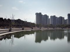 -新江湾城公园