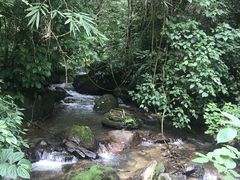 -莫里热带雨林景区