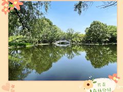 -上海共青森林公园