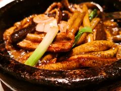 -上海金陵紫金山大酒店·汇海餐厅