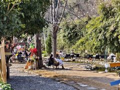 -HERRE·FARM 赫尔露营农场·团建聚会包场