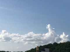 -张钰强中医正骨推拿连锁(唐家人才公寓店)