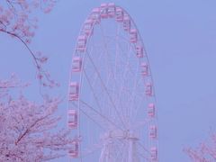 -顾村公园