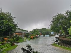 -美人鱼悬崖海景餐厅(鹿嘴山庄店)