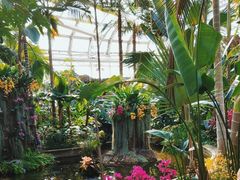 -北京植物园-展览温室