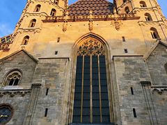 -斯蒂芬主教座堂(Stephansdom)